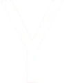 y combinator